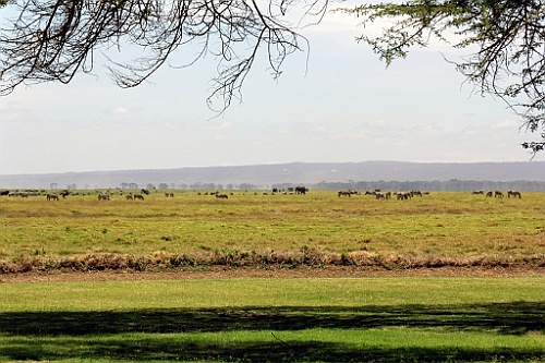 Kenia (189)
